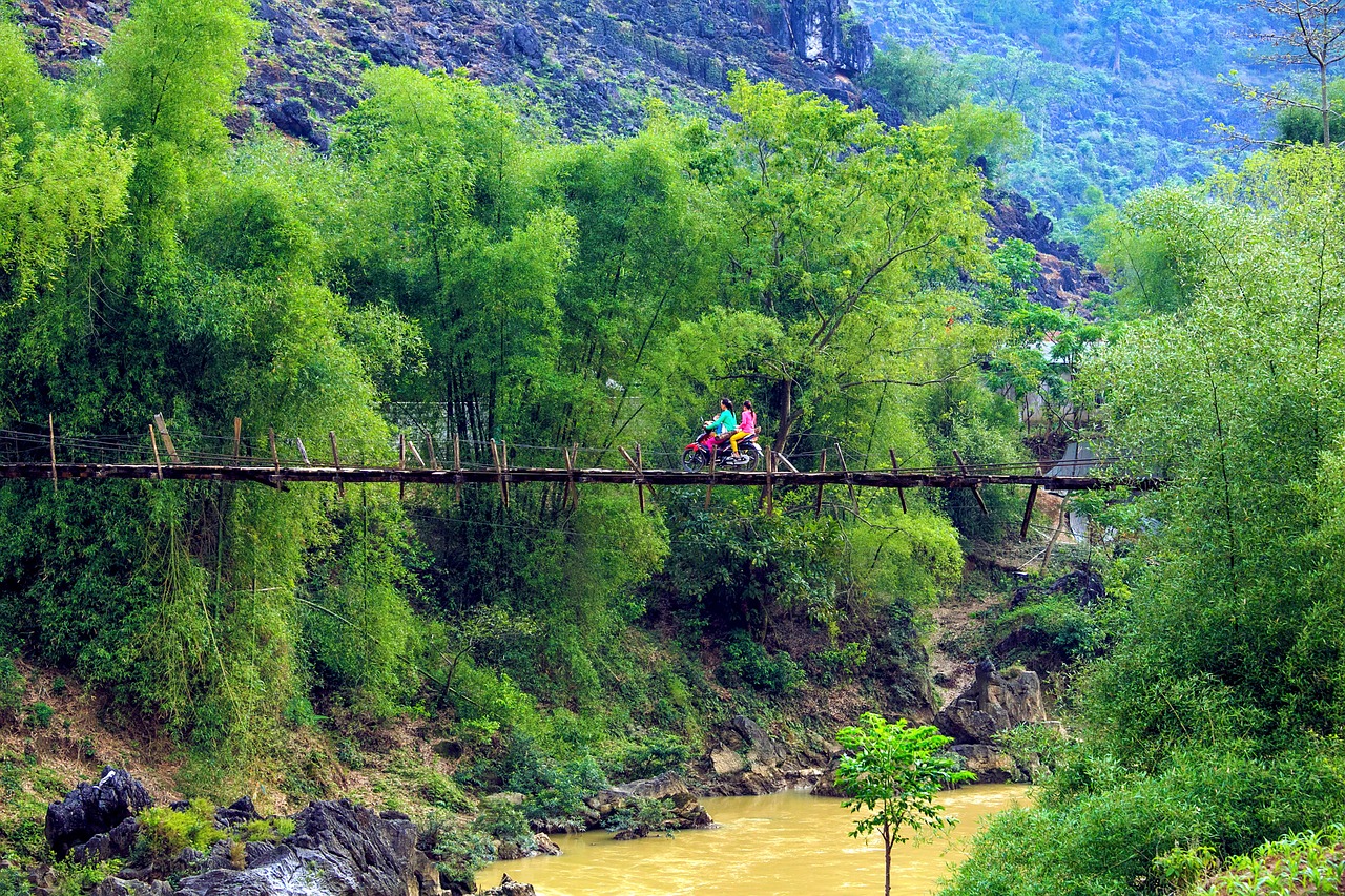 scenery suspension bridge tre free photo