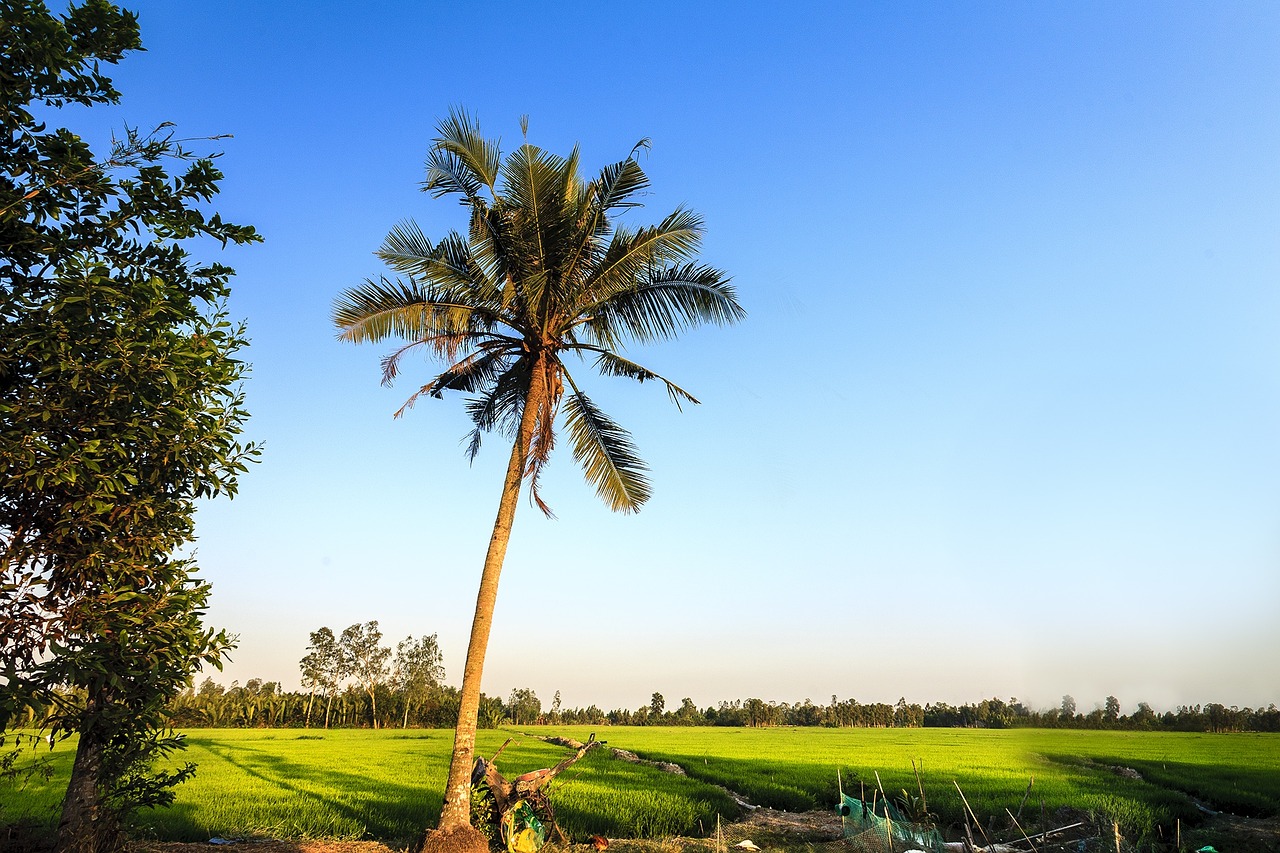 landscape countryside vietnam free photo