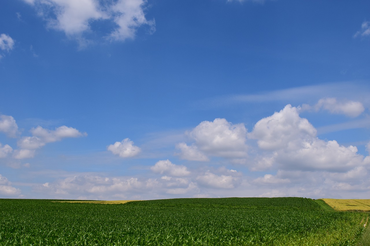 landscape nature fields free photo