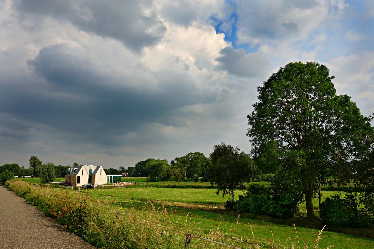 landscape holland rural free photo