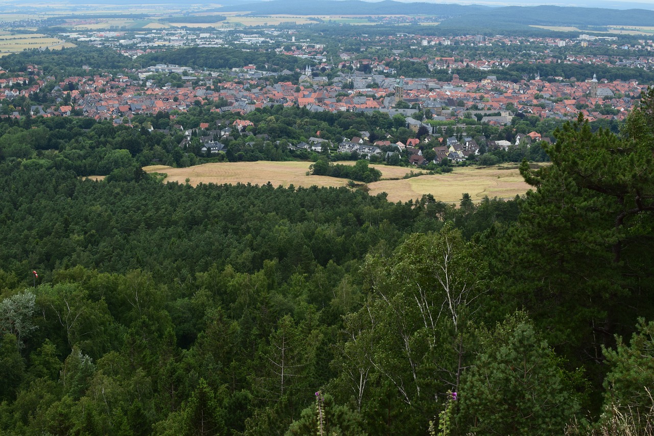 landscape forest city free photo