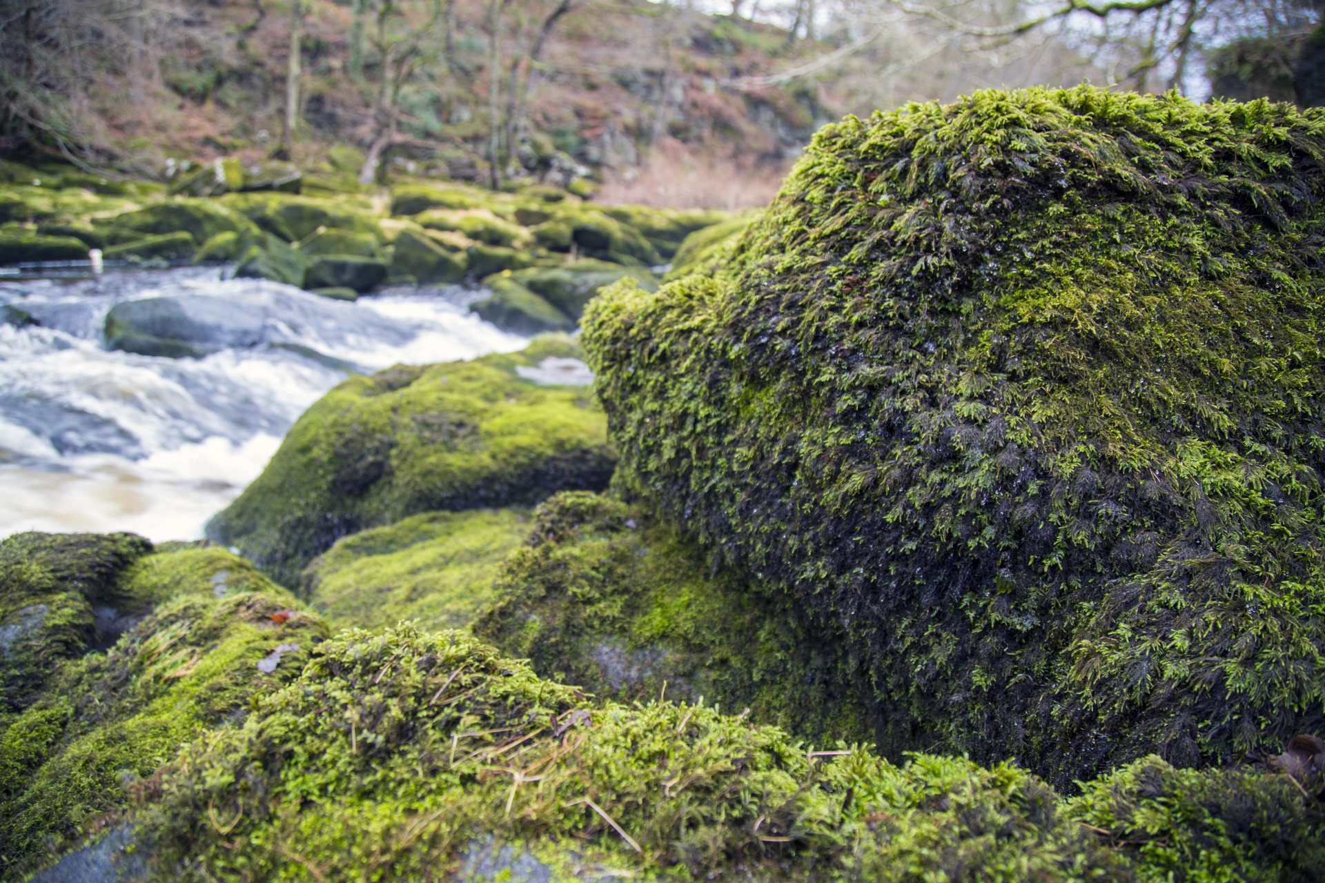 landscape nature rock free photo