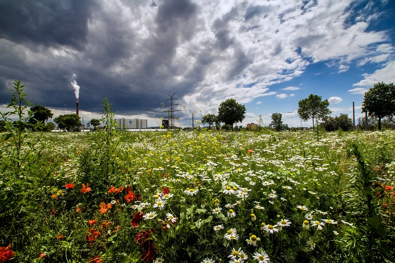 landscape summer clouds free photo