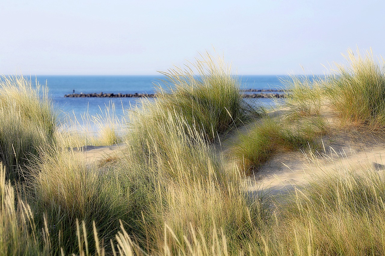 landscape sea mediterranean sea free photo