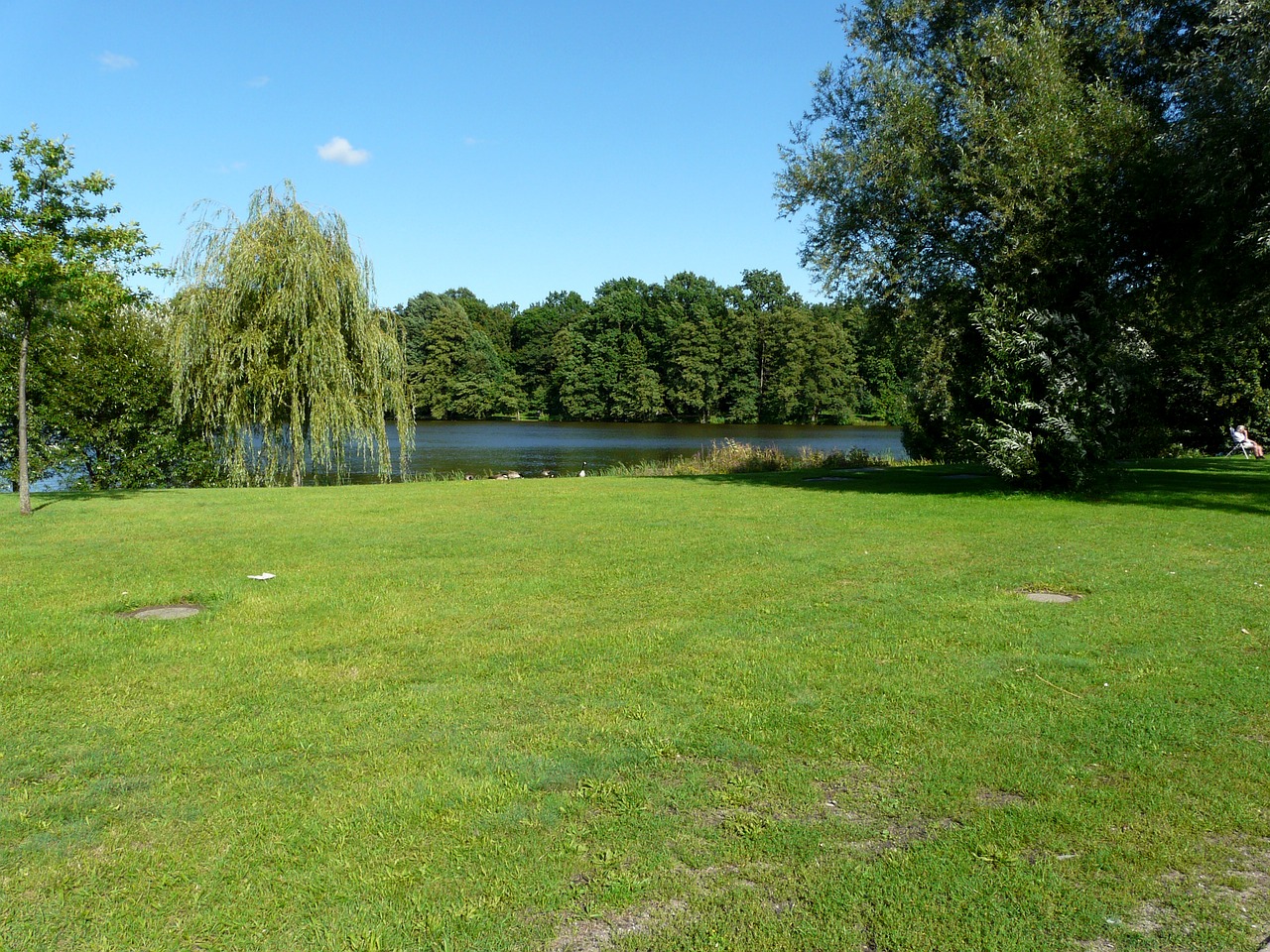 landscape meadow lake free photo