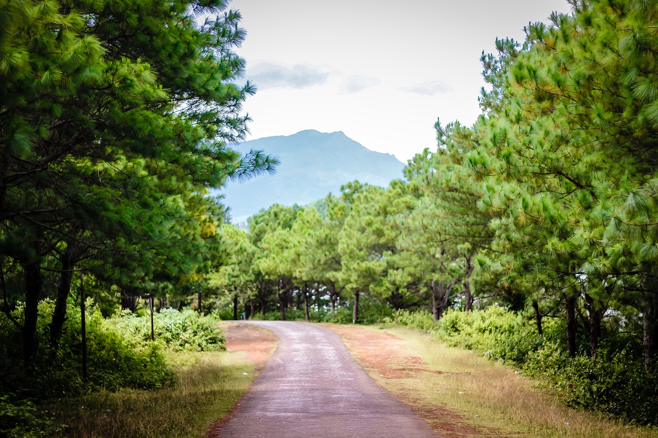 landscape road railroad free photo