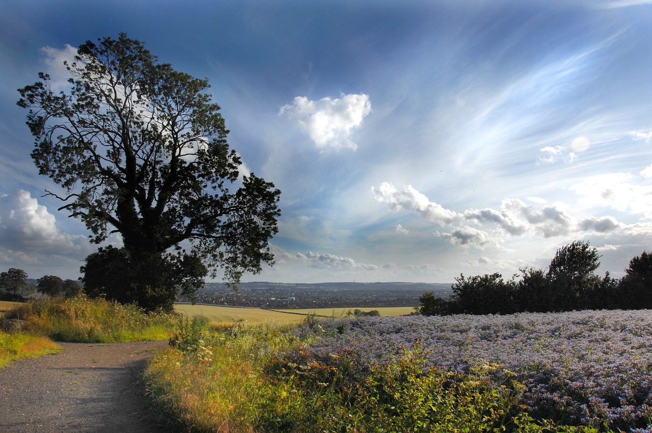 landscape fields luton free photo