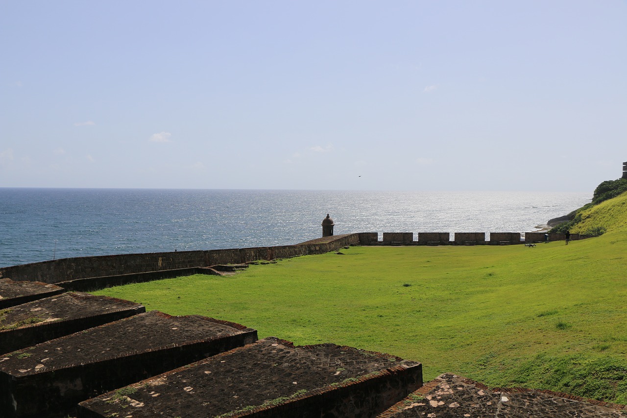 landscape green meadow sea free photo