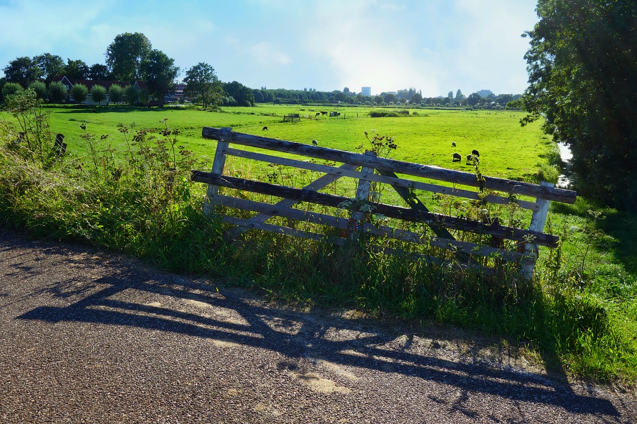 landscape polder rural free photo