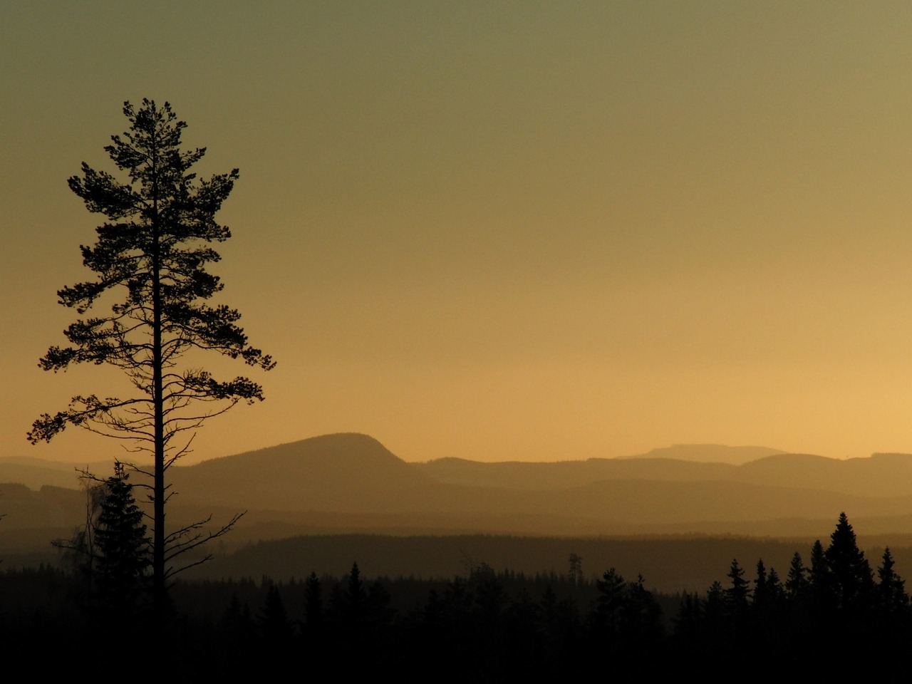 landscape mountains trees free photo