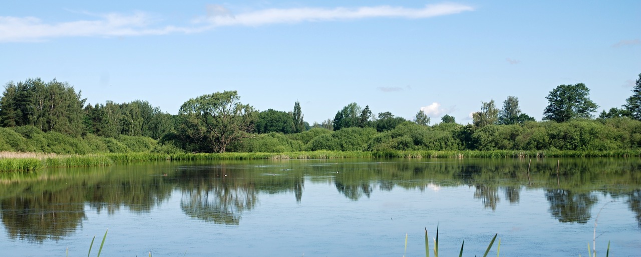 landscape pond water free photo