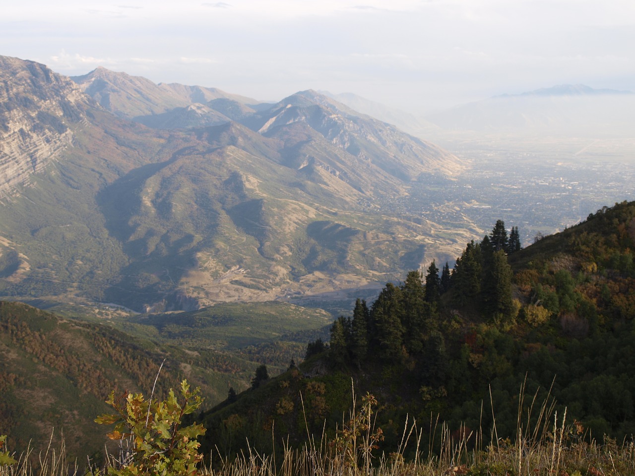 landscape trees hills mountains free photo