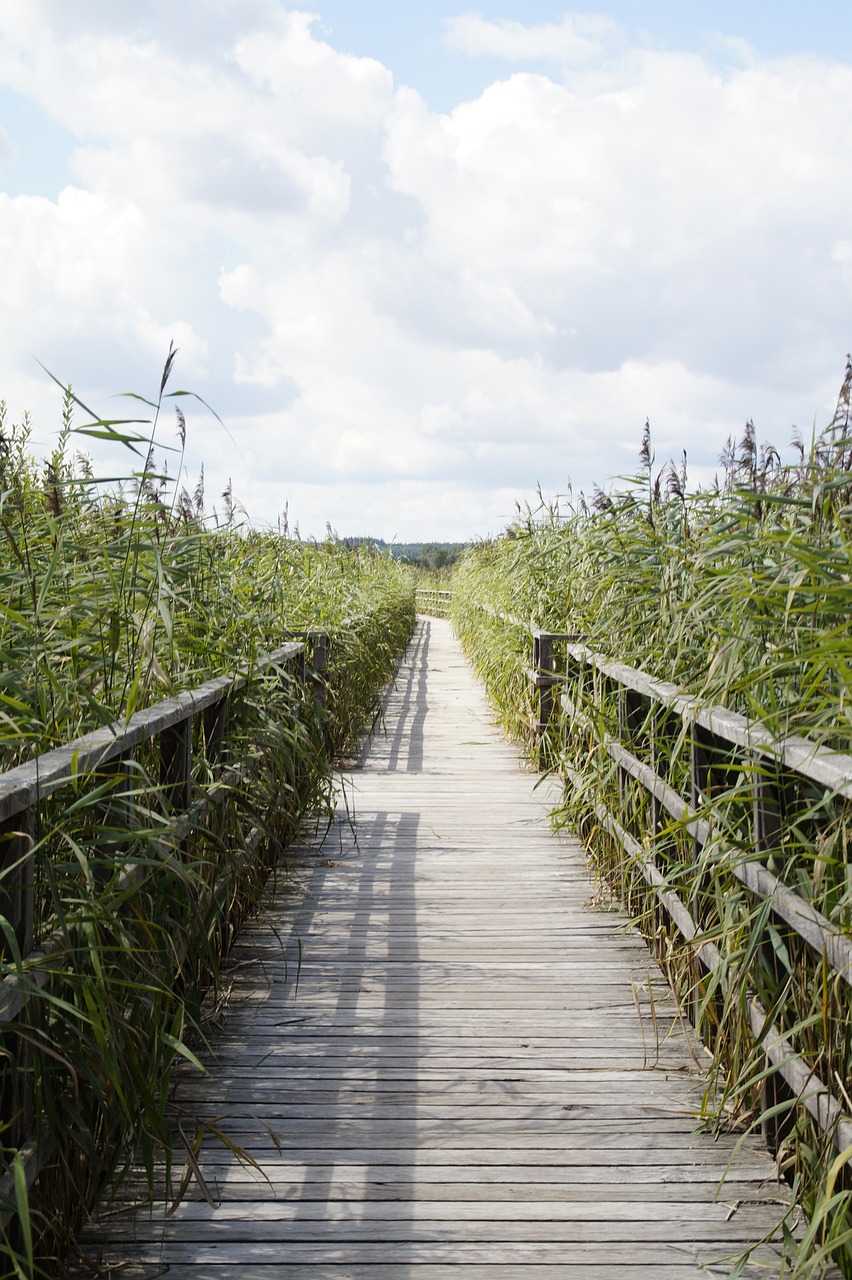 landscape spring lake nature reserve free photo