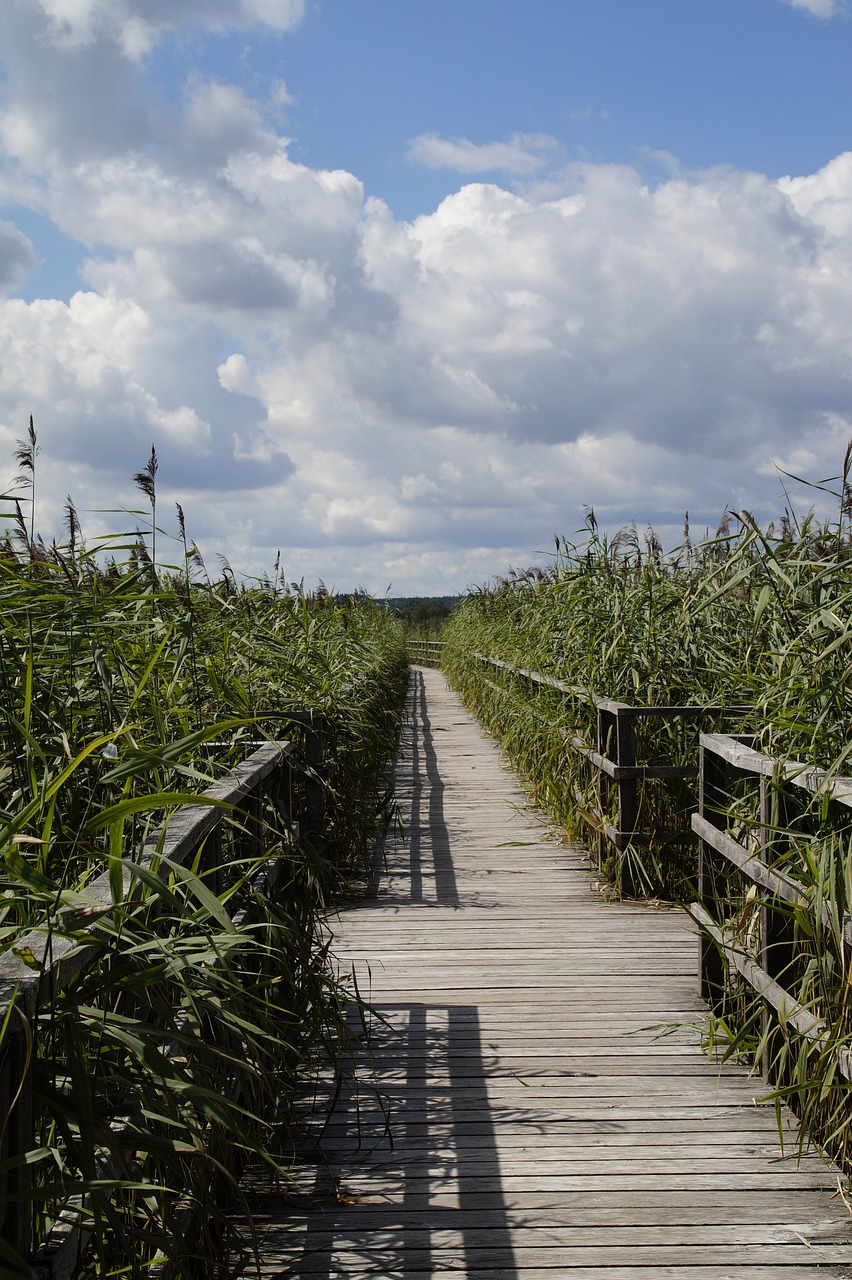 landscape spring lake nature reserve free photo