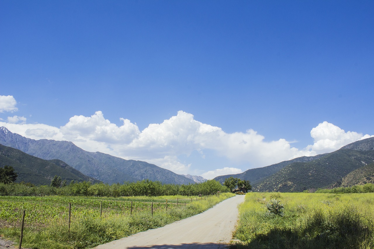 landscape chile field free photo