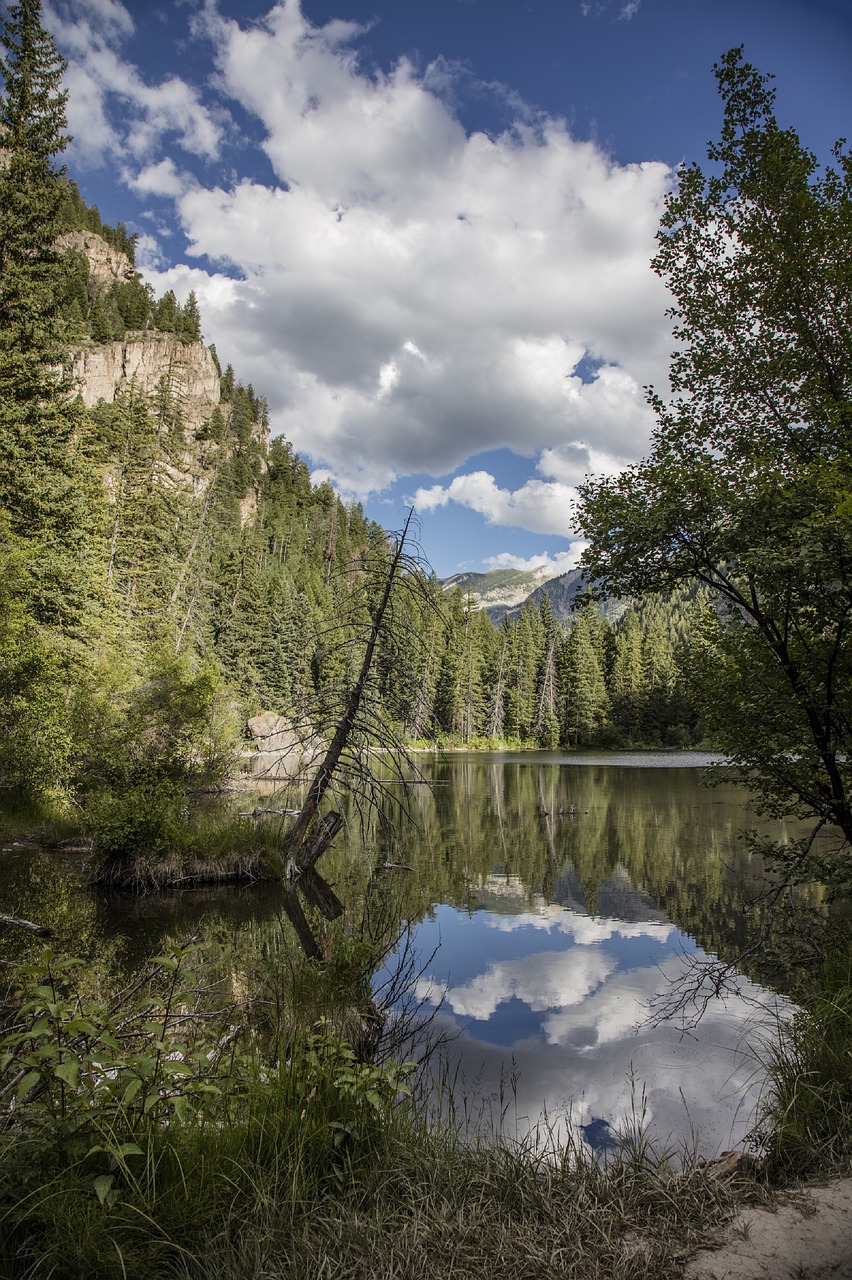 landscape scenic wilderness free photo