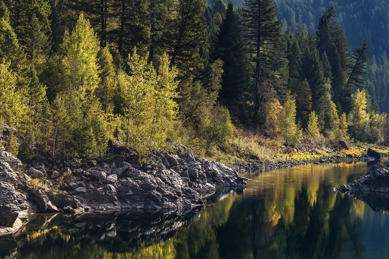 landscape scenic flathead river free photo