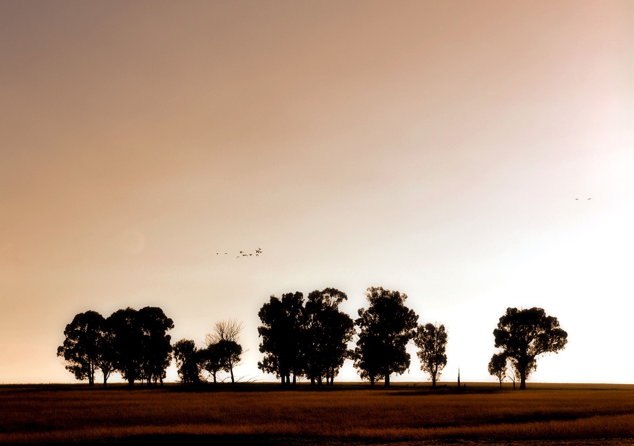 landscape nature sunlight free photo