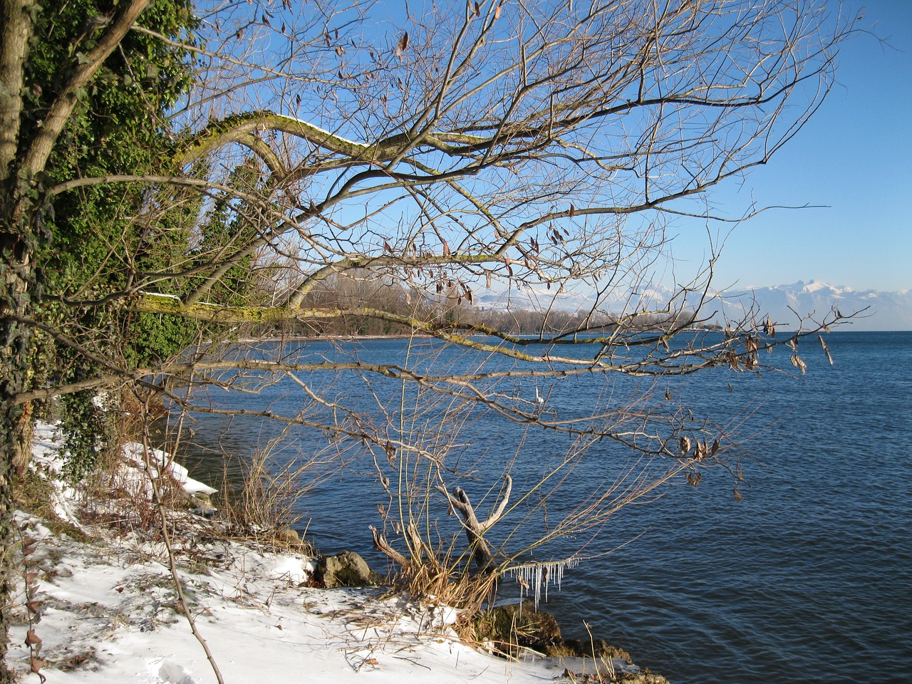 landscape switzerland lake free photo