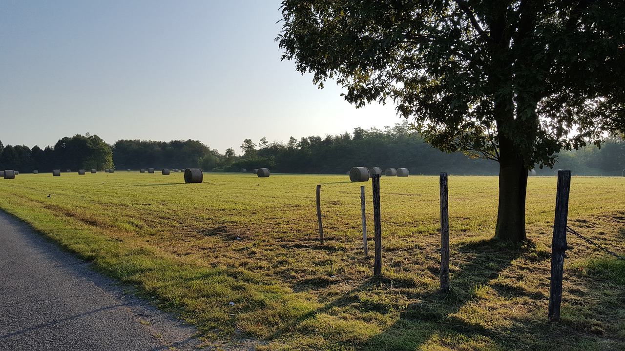 landscape campaign fence free photo