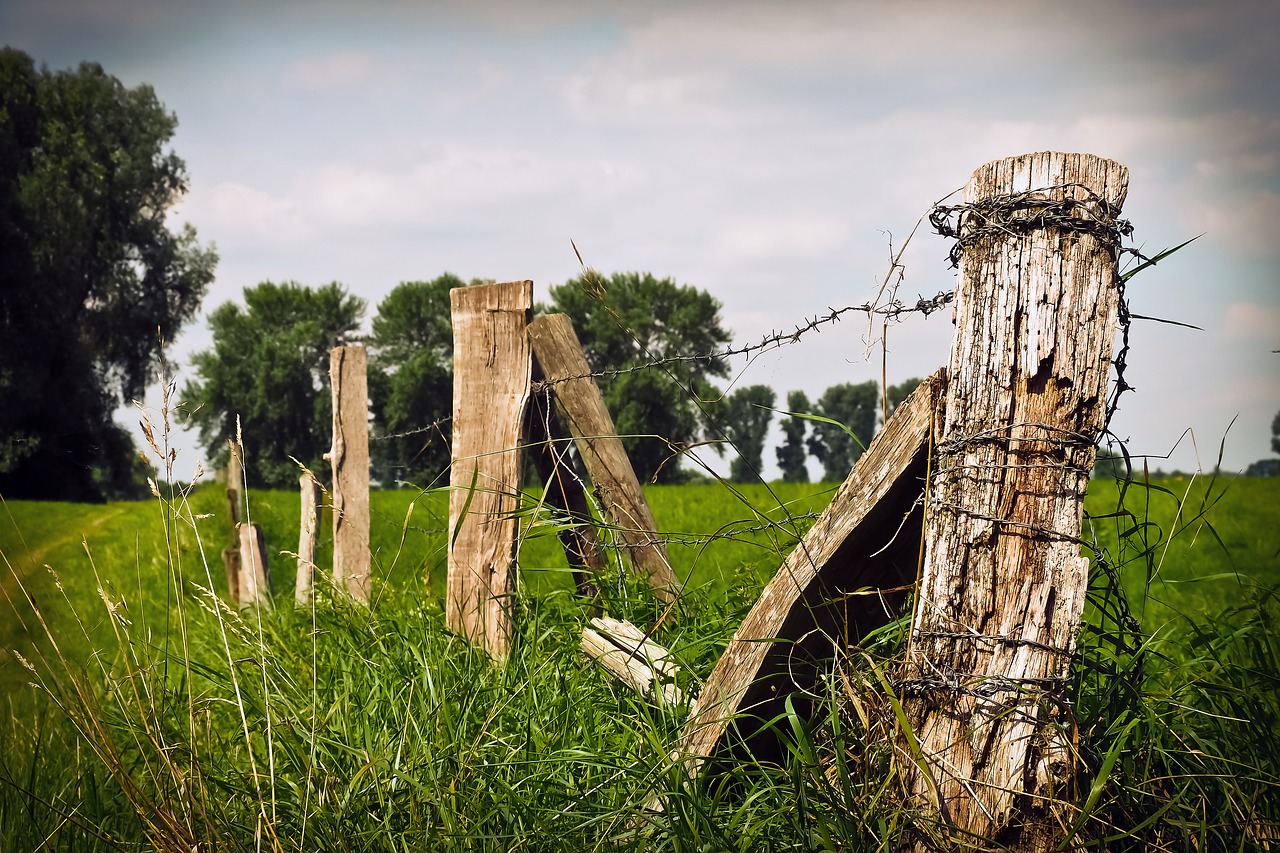 landscape nature meadow free photo