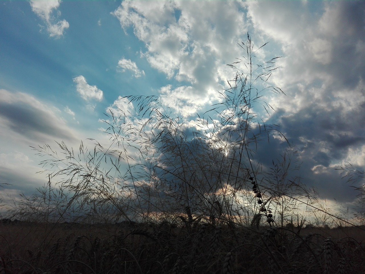 landscape sky meadow free photo