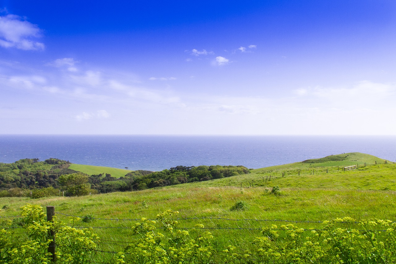 landscape uk cornwall free photo