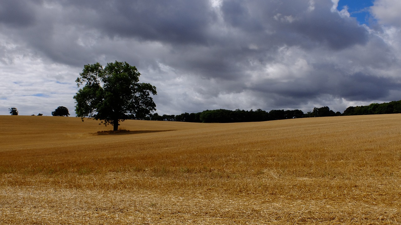 landscape sky countryside free photo