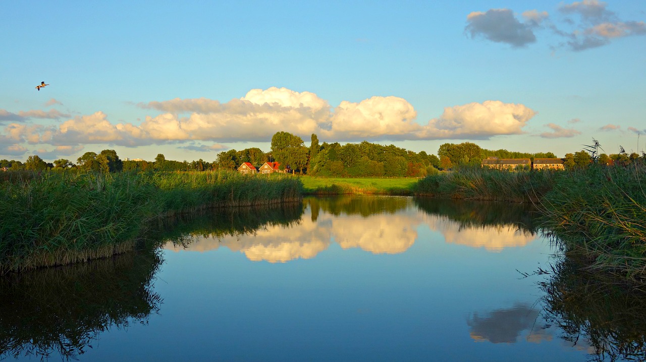 landscape dutch landscape waterway free photo