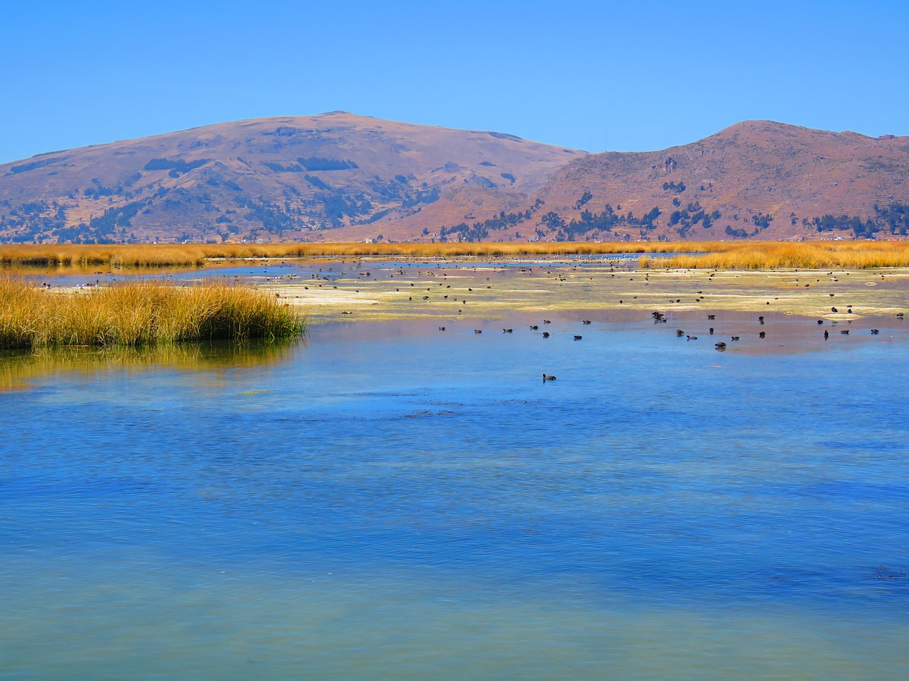 landscape water peru free photo