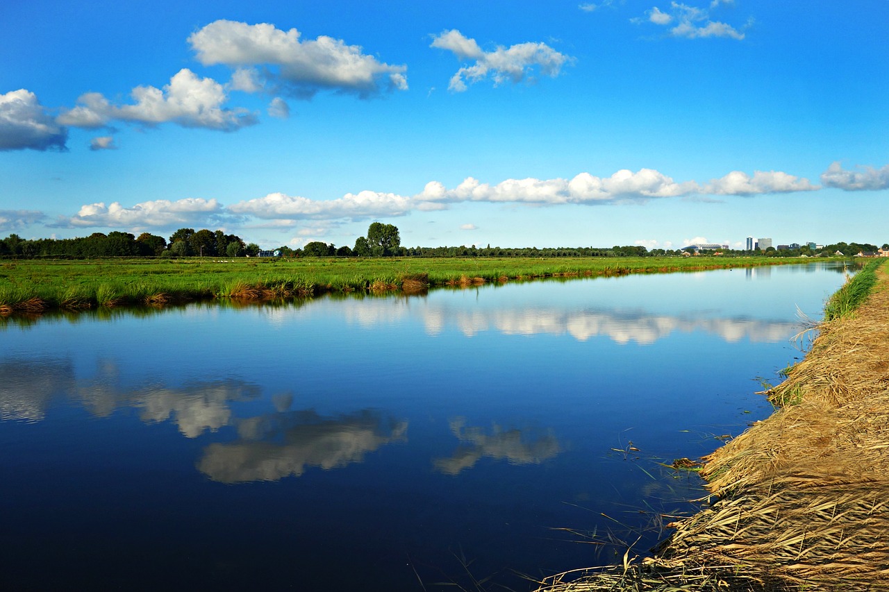 landscape holland dutch landscape free photo