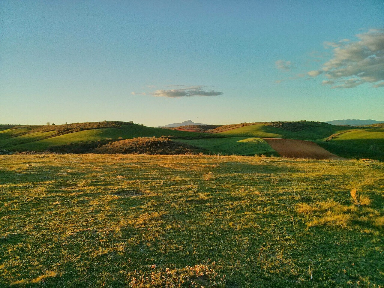 landscape green yellow free photo