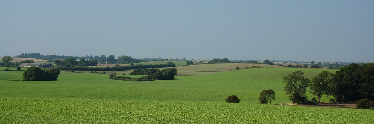 landscape wood mark free photo