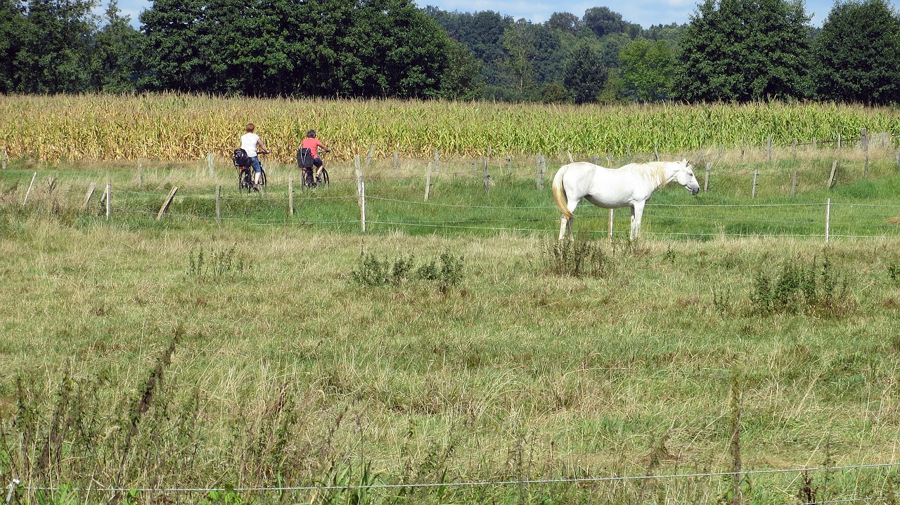 landscape cycle paths cyclists free photo