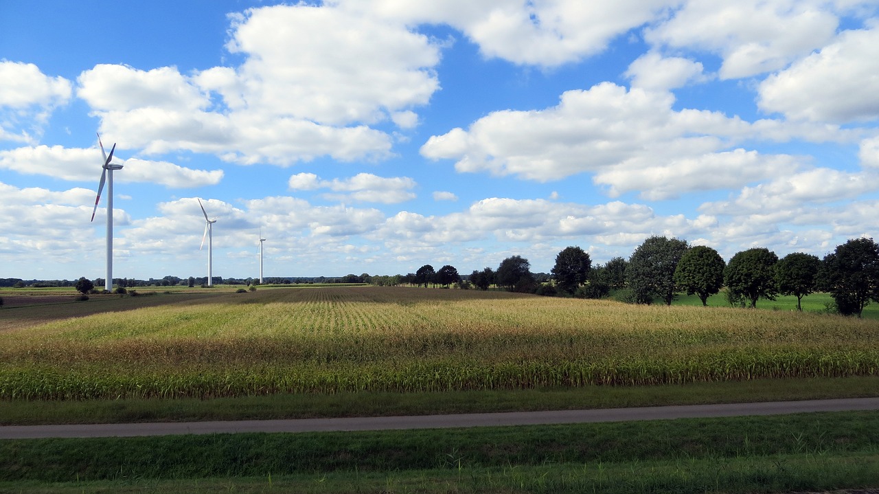 landscape cycle paths cyclists free photo