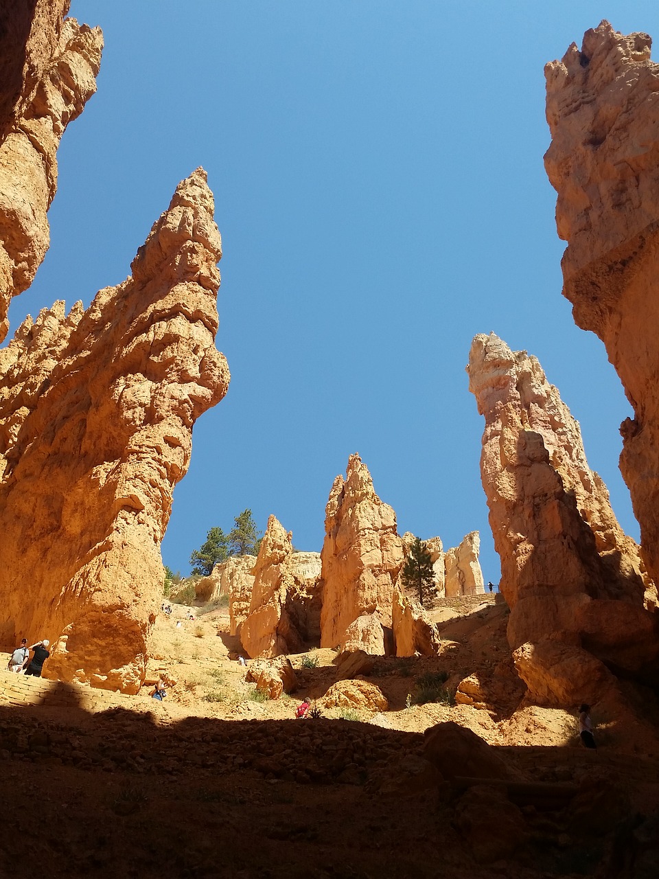 hoodoos bryce canyon utah free photo