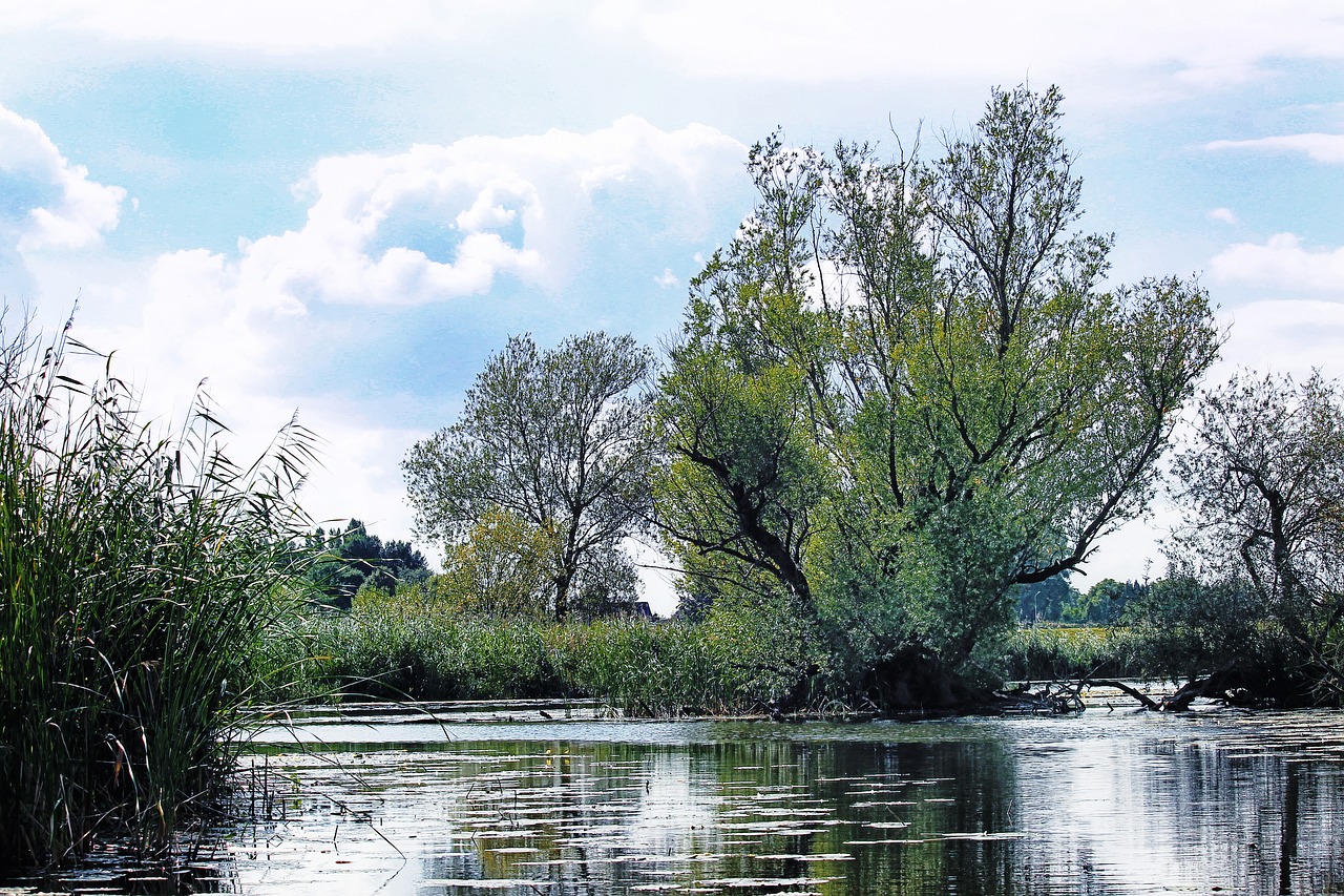 landscape river trees free photo