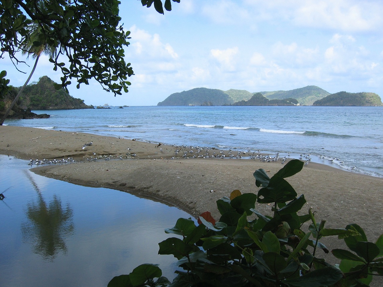 landscape caribbean water free photo