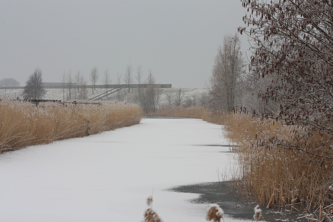 landscape snow winter free photo