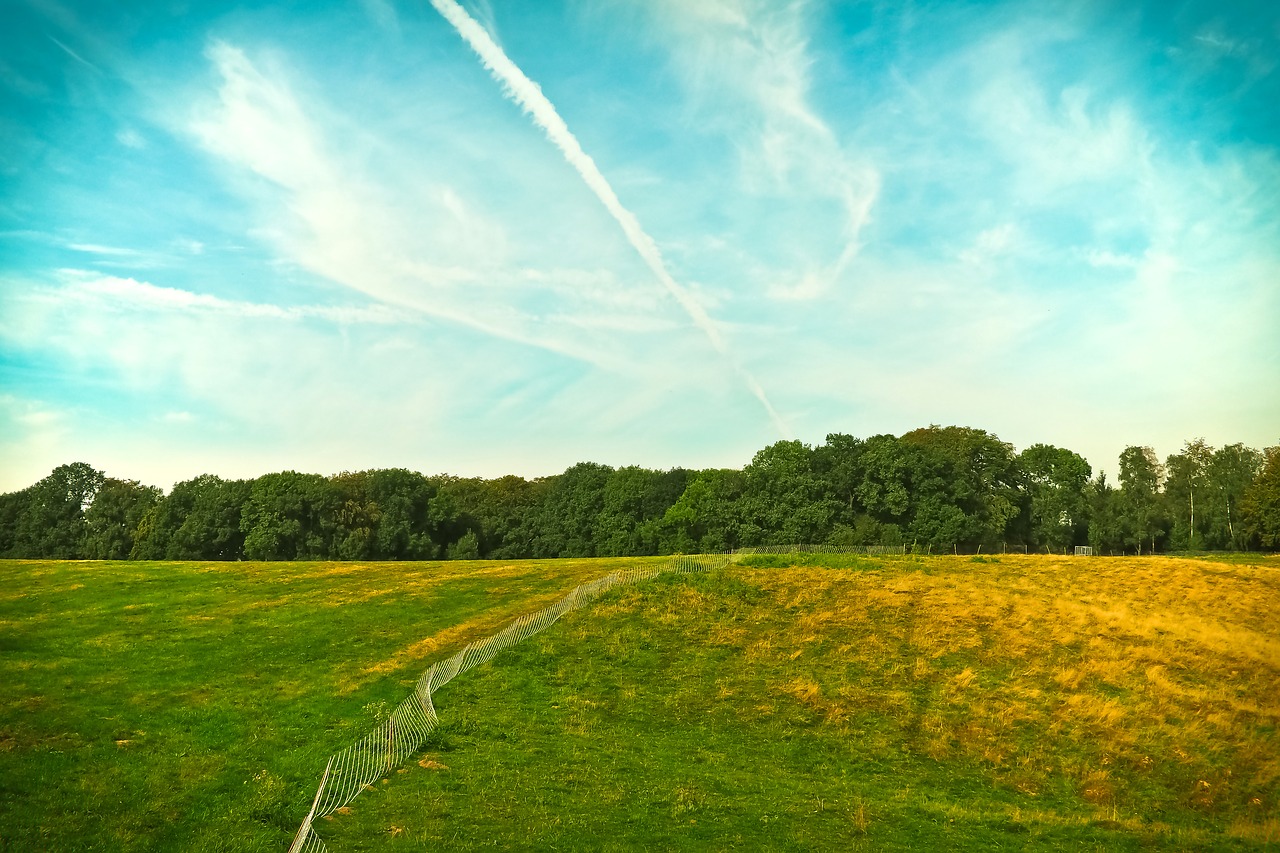 landscape nature meadow free photo