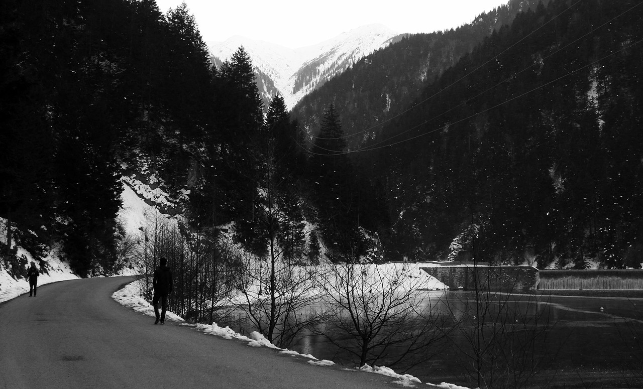 landscape black white free photo