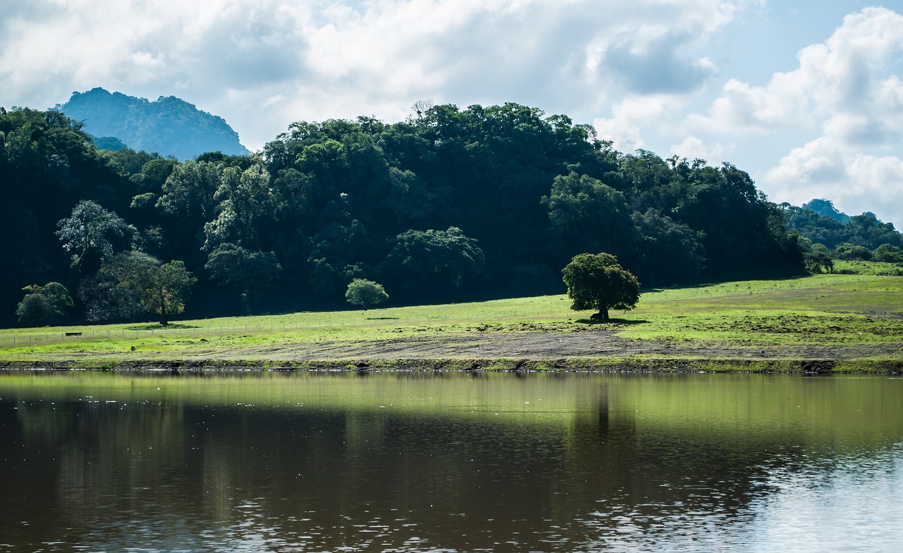 landscape tree nature free photo