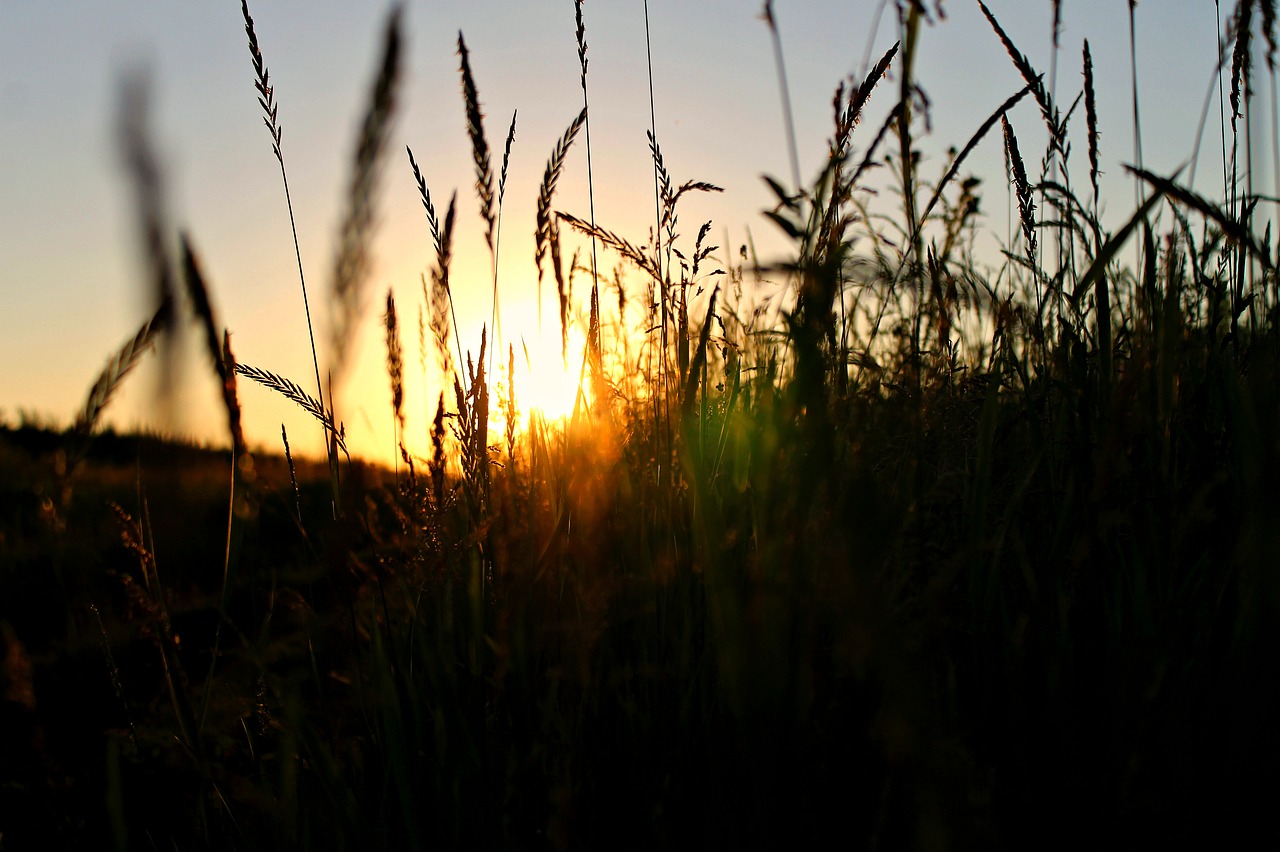 landscape sunset nature free photo