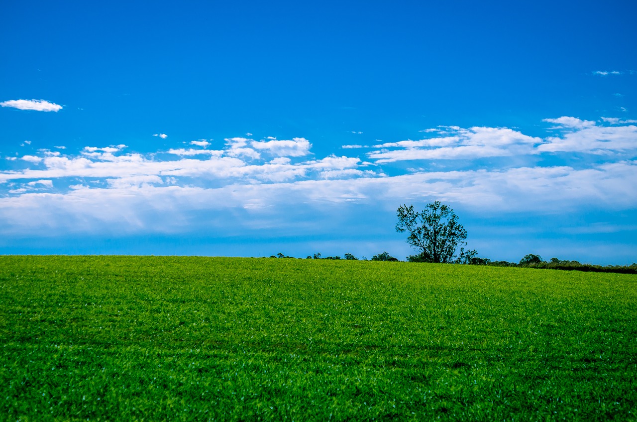 landscape grass sky free photo