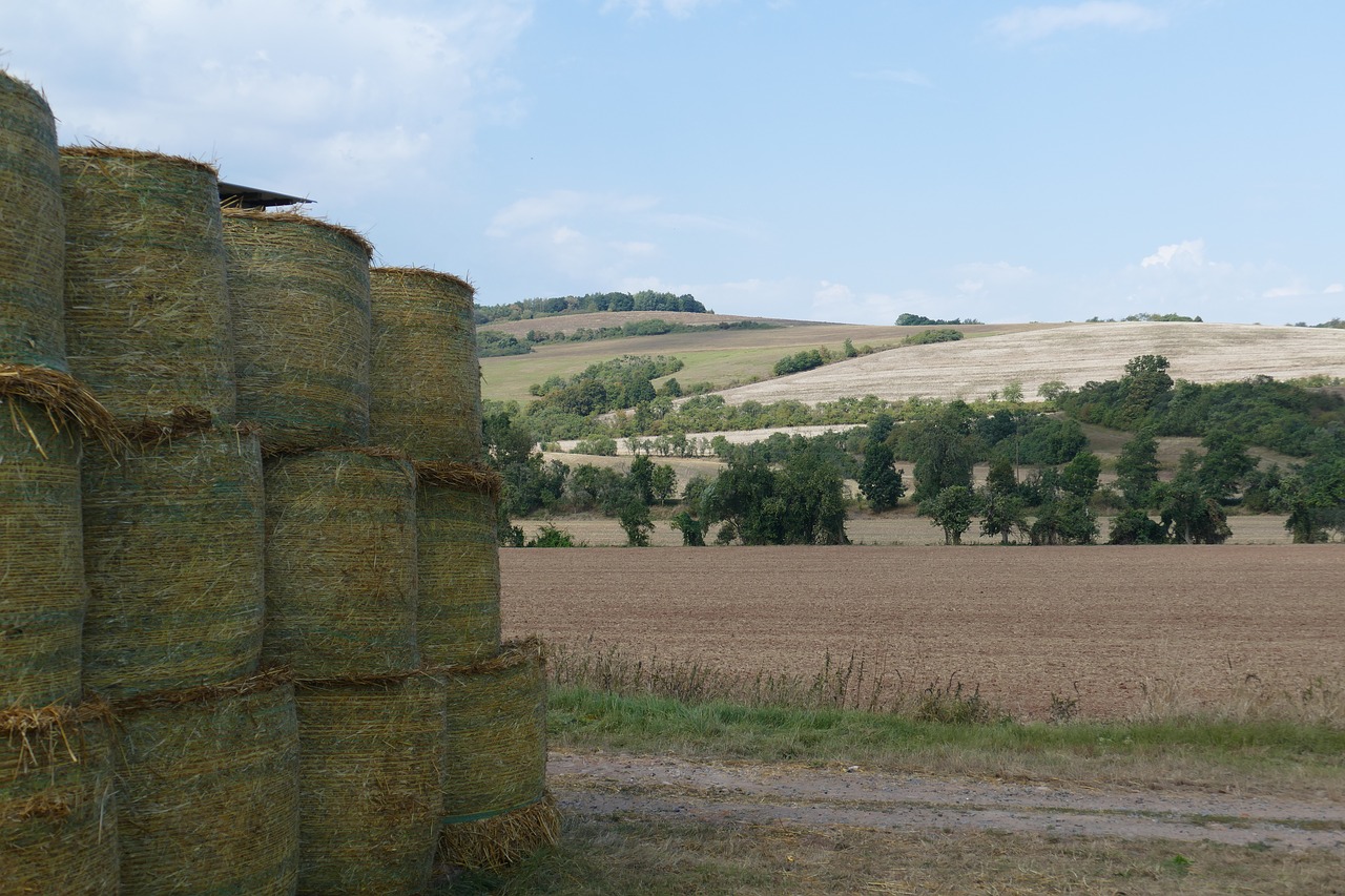 landscape panorama straw bales free photo