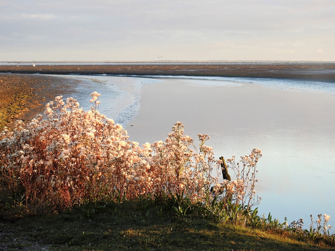 landscape nature water free photo