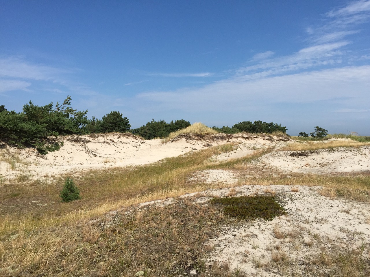 landscape baltic sea beach free photo