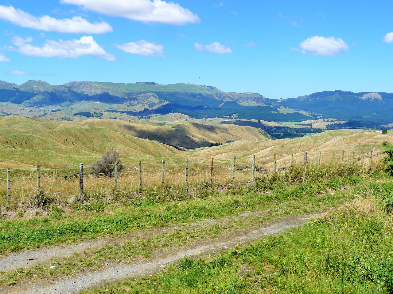 landscape new zealand sky free photo