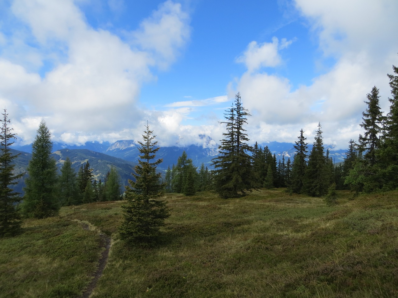 landscape forest sky free photo