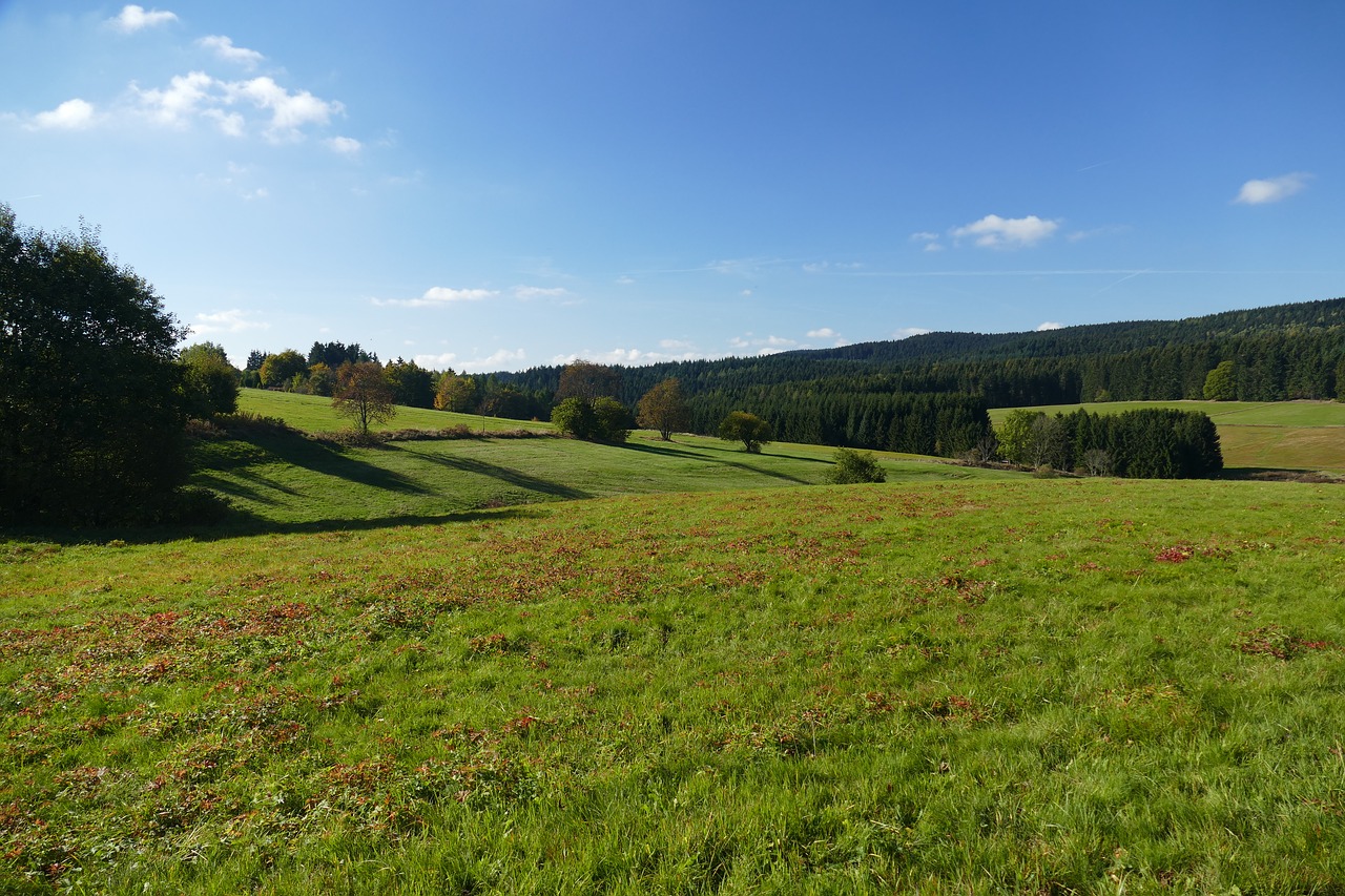 landscape meadow nature free photo